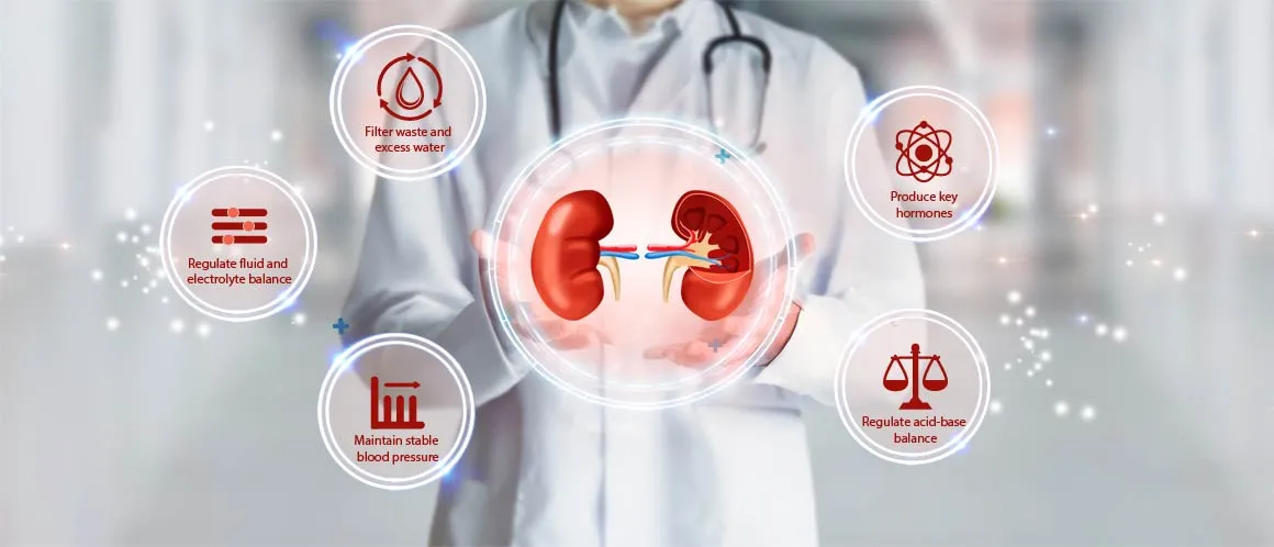 Chronic Kidney Disease