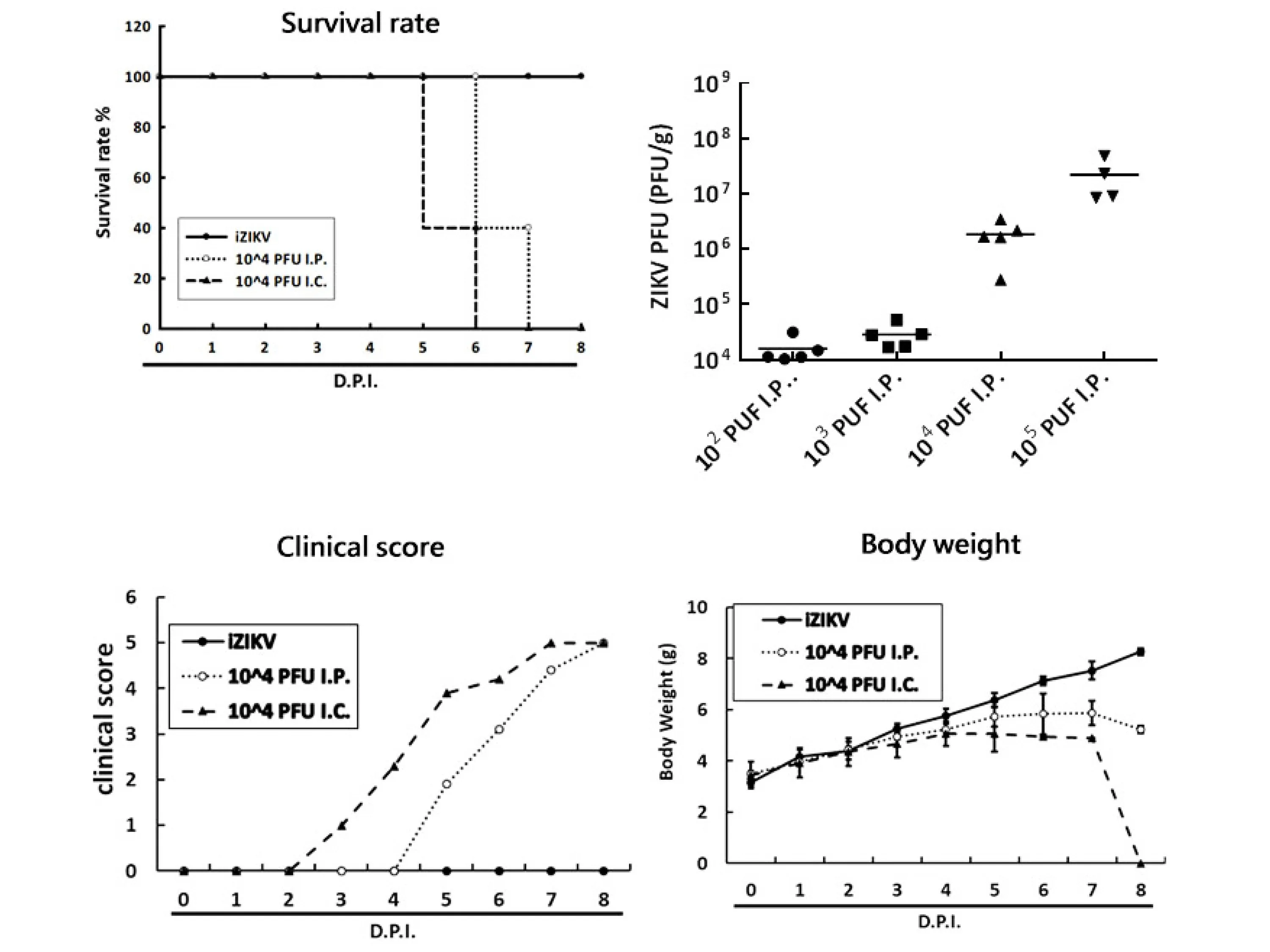 Mouse Models of Zika Virus Infection