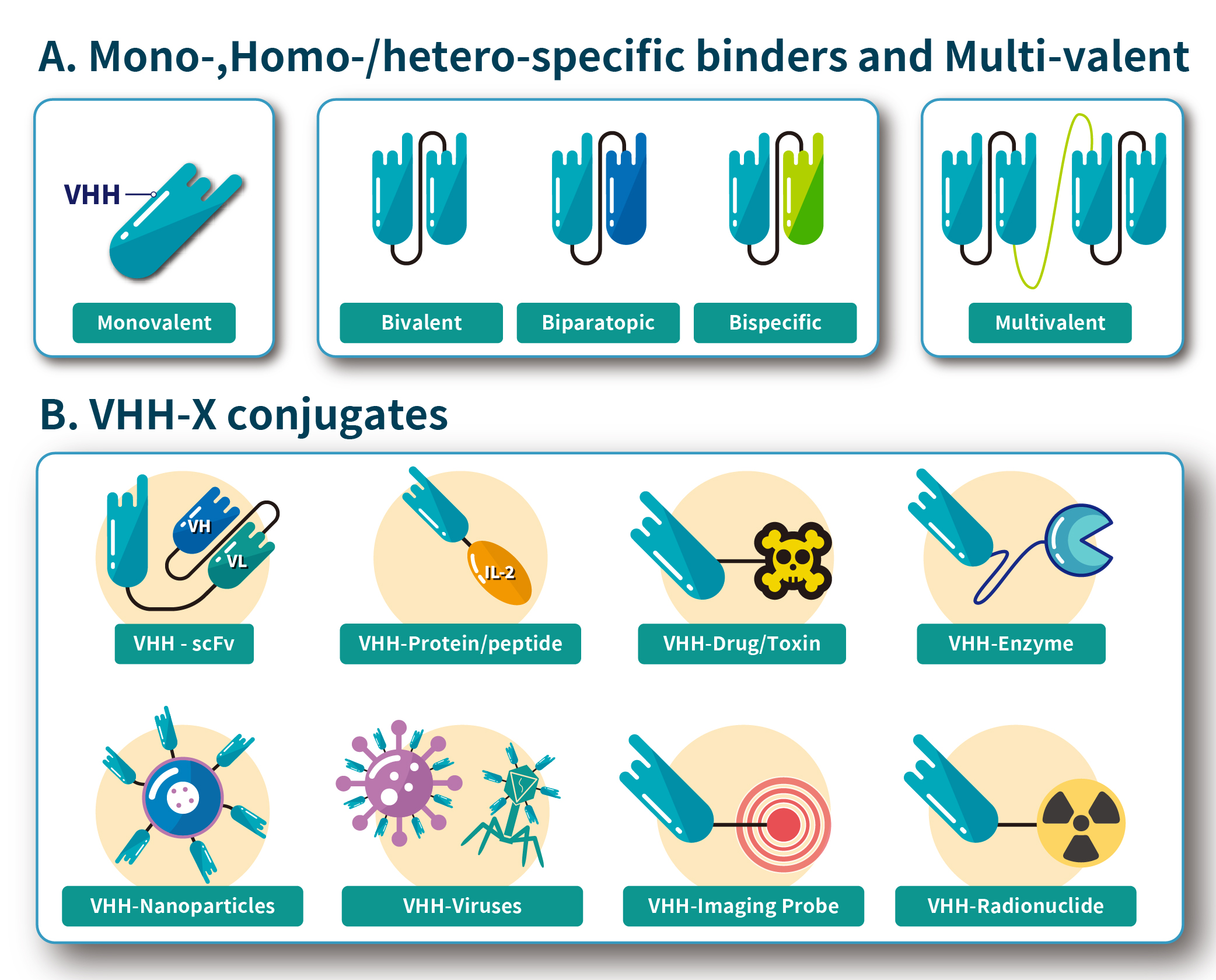 VHH_Nanobodies_2024_03