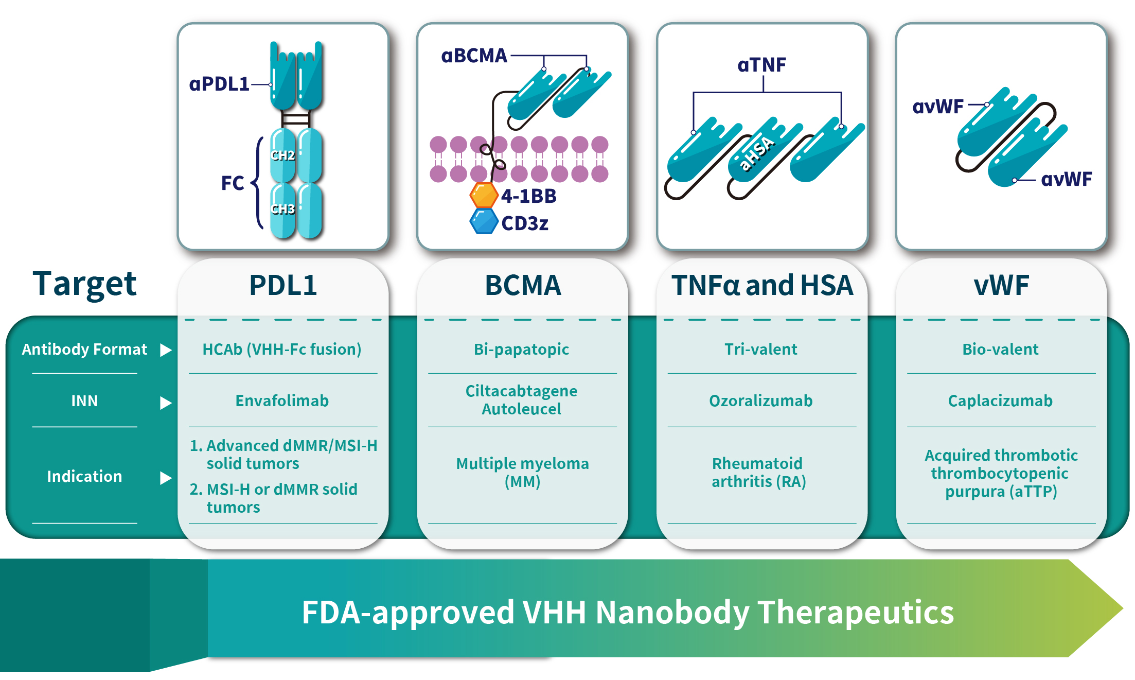 VHH_Nanobodies_2024_04