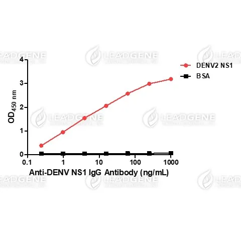 Anti-DENV NS1 IgG Antibody