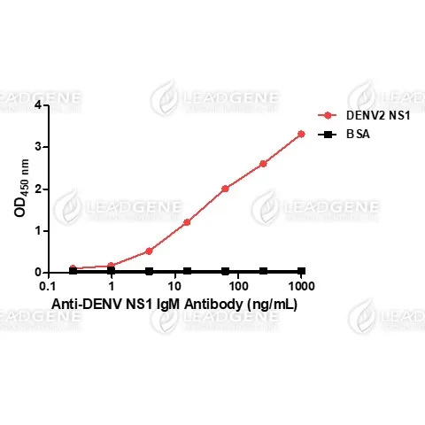 Anti-DENV NS1 IgM Antibody