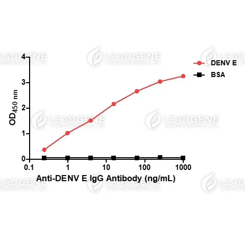 Anti-DENV E IgG Antibody