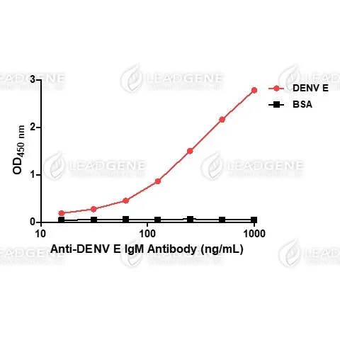 Anti-DENV E IgM Antibody