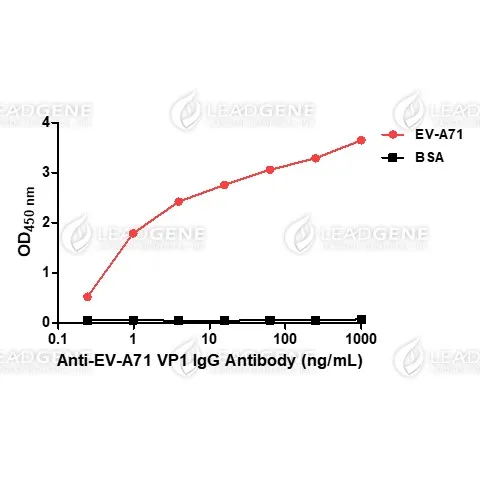 Anti-EV-A71 VP1 IgG Antibody