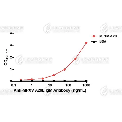 Anti-MPXV A29L IgM Antibody