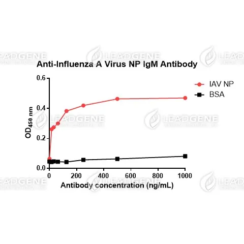 Anti-Influenza A Virus NP IgM Antibody