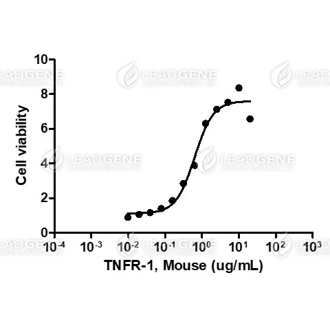 Mouse TNFR-1, His Tag, CHO