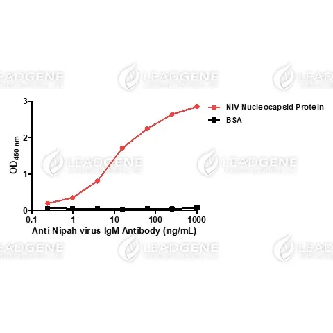 Anti-Nipah Virus Nucleocapsid IgM Antibody