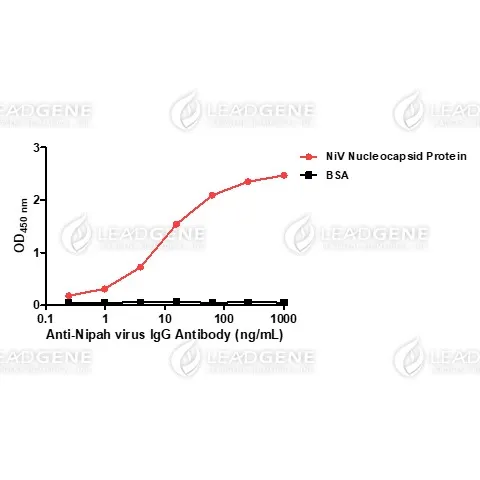 Anti-Nipah Virus Nucleocapsid IgG Antibody