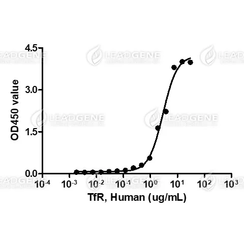 Human TfR, His Tag, CHO