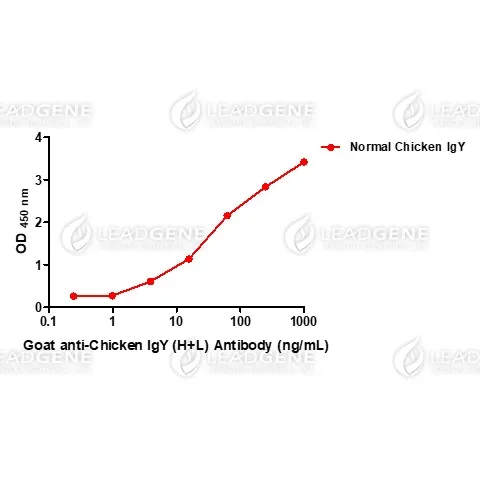 Goat Anti-Chicken IgY Antibody