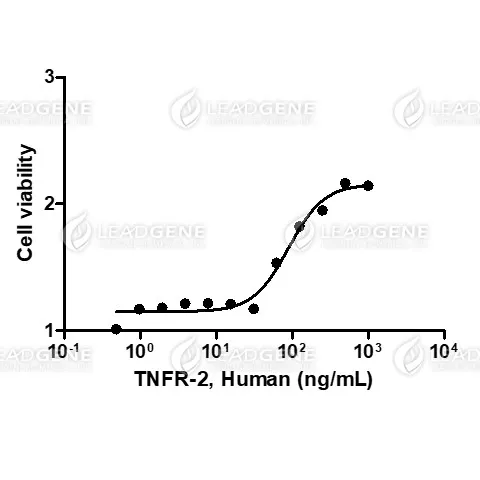 Human TNFR2, His Tag, CHO