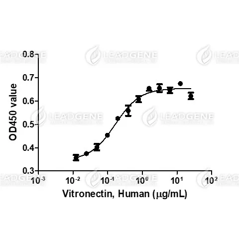 Human Vitronectin, His Tag, E. coli