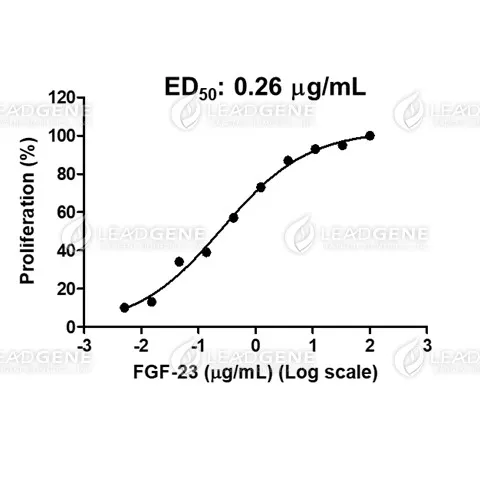 Human FGF-23, His Tag, E. coli