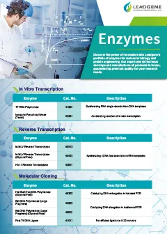 Leadgene Enzymes